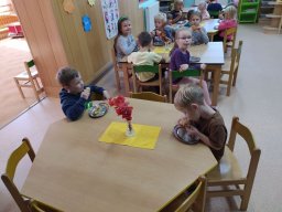 zari ve skolce 07
